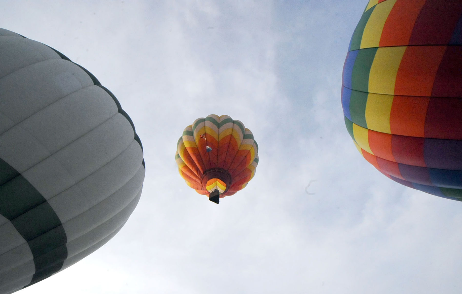 Soaring high